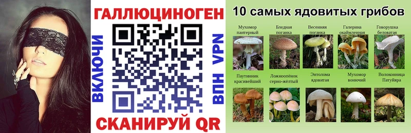 Псилоцибиновые грибы GOLDEN TEACHER  купить наркоту  Малаховка 